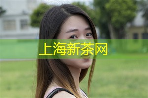 你可以看到保存完好的传统建筑、石板路和古老的运河