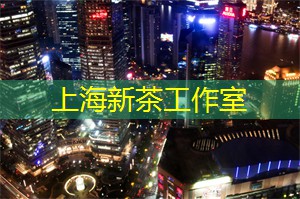 上海的美食博览会：美味与娱乐的结合